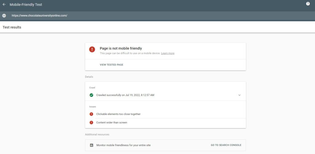 page is not mobile friendly test results